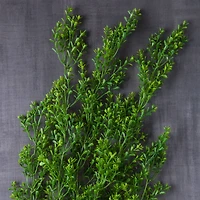 12 Pack: Green Boxwood Bush by Ashland®