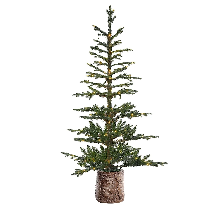 5ft. Pre-Lit Timberland Fir Artificial Christmas Tree with Decorative Base, Warm White LED Lights
