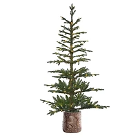 5ft. Pre-Lit Timberland Fir Artificial Christmas Tree with Decorative Base, Warm White LED Lights