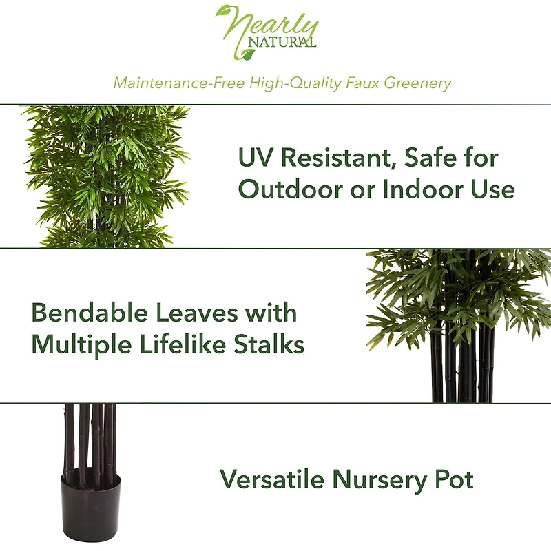 7ft. Potted Bamboo Tree with Black Trunks