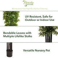 7ft. Potted Bamboo Tree with Black Trunks