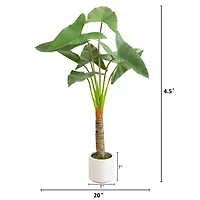 4.5ft. Arrowhead Philodendron in White Decorative Planter