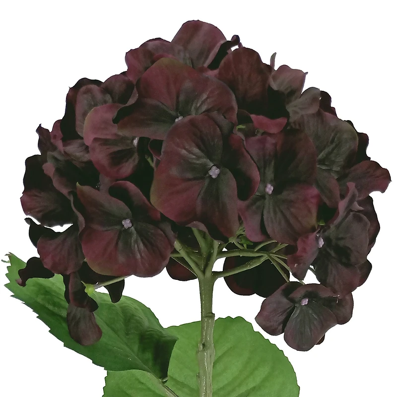 12 Pack: Black & Purple Hydrangea Stem by Ashland®