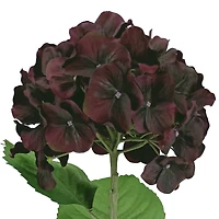 12 Pack: Black & Purple Hydrangea Stem by Ashland®