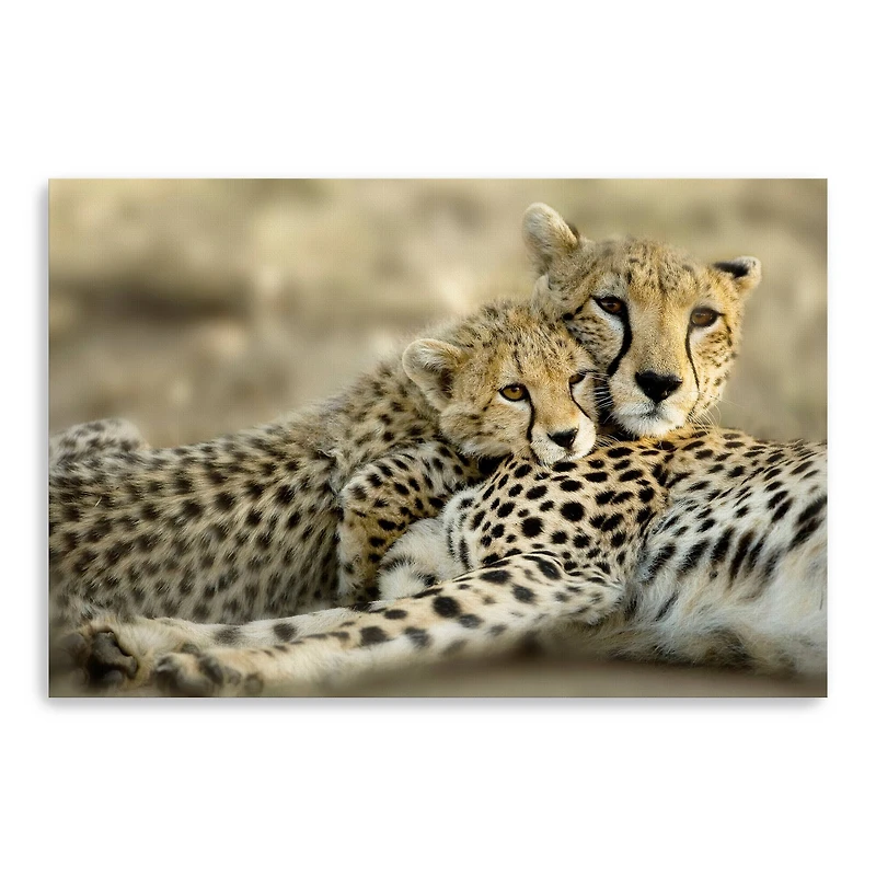 Kenya Club Canvas Giclee