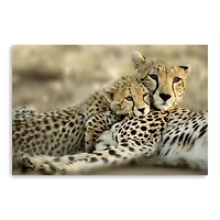 Kenya Club Canvas Giclee