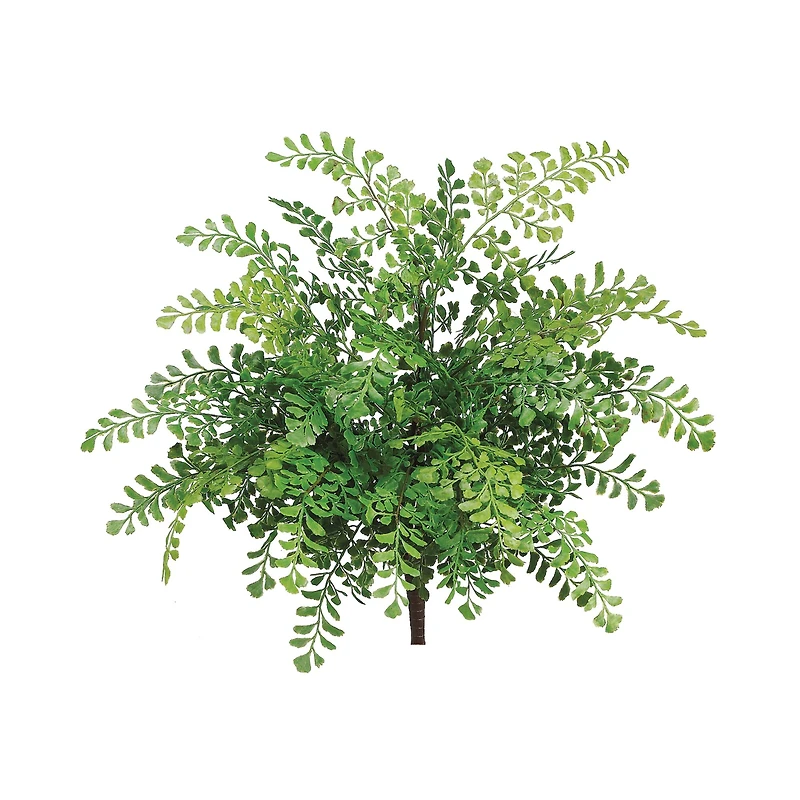 UV Protected Maidenhair Fern Bush 