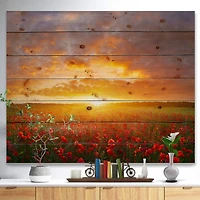 Designart - Poppy Field under Bright Sunset