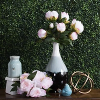 Cream & Pink Peony Bush