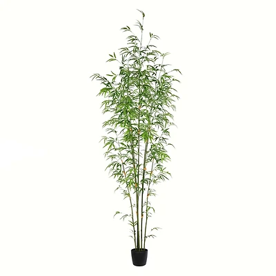 7ft. Potted Mini Bamboo Tree