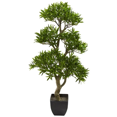 3ft. Potted Plum Pine Bonsai Styled Tree