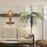 8ft. Potted Phoenix Palm Tree