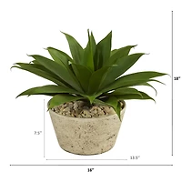 1.5ft. Agave Succulent Plant in White Planter 