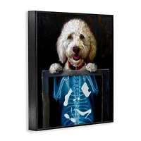 Stupell Industries Funny Dog X-Ray Snacks Framed Giclee Art