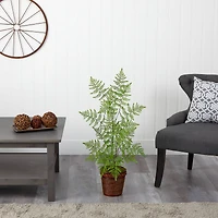3ft. Ruffle Fern Artificial Tree in Basket