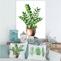 Designart - Zamioculcas Tropical Plant With Green Leaves