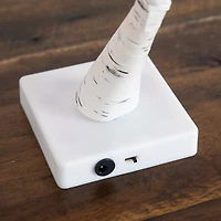 2ft. Pre-Lit Artificial Valentine's Day Twig Tree with 24 Rose Shaped LED Lights