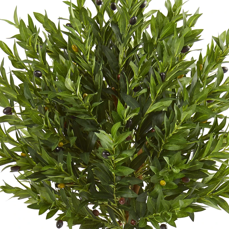 5ft. Olive Topiary Tree in Terra Cotta Planter