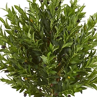 5ft. Olive Topiary Tree in Terra Cotta Planter