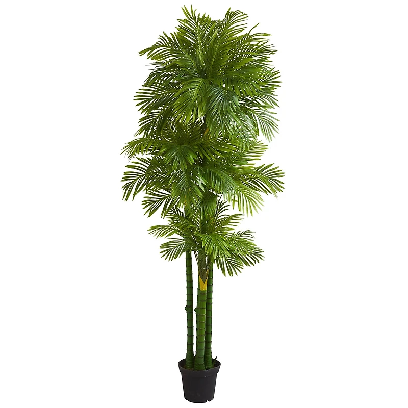7.5ft. Potted Phoenix Palm Tree