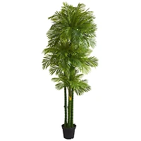 7.5ft. Potted Phoenix Palm Tree 