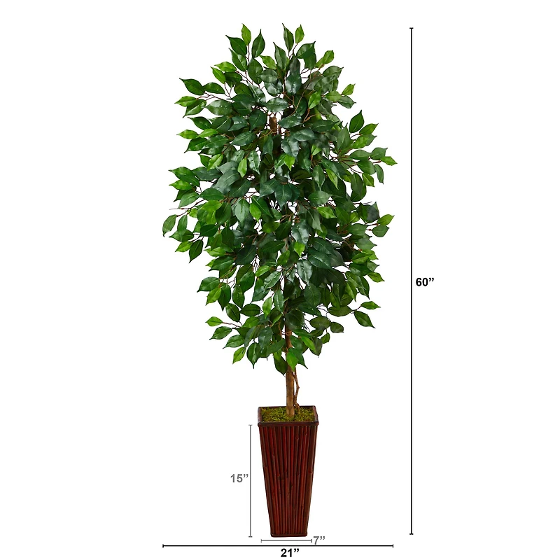 5ft. Ficus Tree in Bamboo Planter