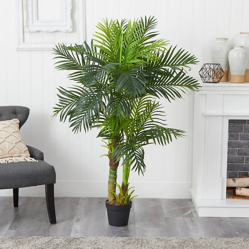 5ft. Potted Double Stalk Hawaii Palm Tree