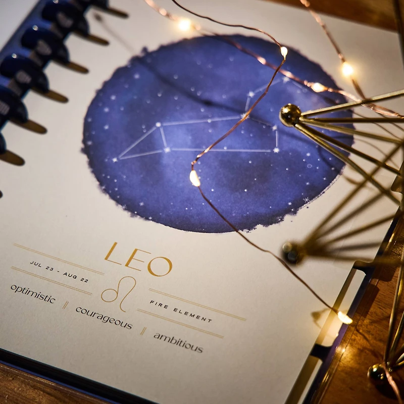 The Big Happy Planner® Star Signs