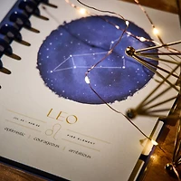 The Big Happy Planner® Star Signs