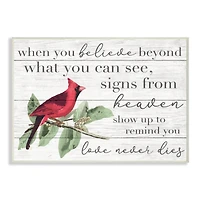 Stupell Industries Believe Love Never Dies Inspirational Cardinal Bird Word Design Wall Plaque