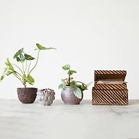 Hello Honey® Burnt Finish Hand Carved Mango Wood Nesting Box Set