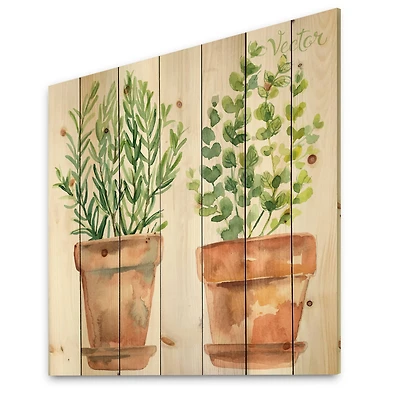 Designart - Two Green House Plants In Orange Flower Pots