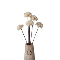 Hello Honey® 23.5" Dried Natural Sesame Flower Stems
