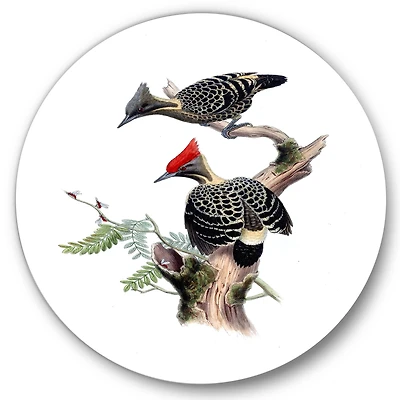 Designart - Vintage Birds In The Wild VI