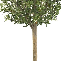 4.5ft. Potted Olive Double Topiary Tree