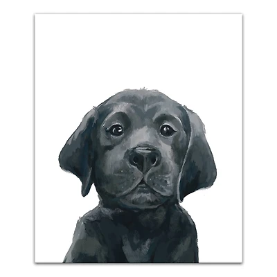 Black Lab Puppy 20" x 24" Canvas Wall Art