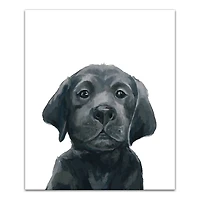 Black Lab Puppy 20" x 24" Canvas Wall Art