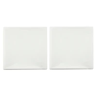 4.5ft. x 9ft. White Plastic Drop Cloths, 2ct. by Craft Smart™