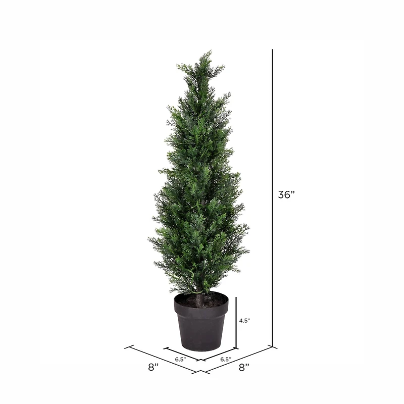 3ft. Potted Cedar Tree