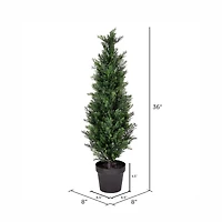 3ft. Potted Cedar Tree