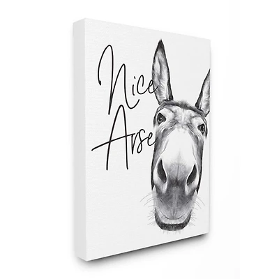 Stupell Industries Animal Humor Nice Arse Donkey Bathroom Phrase Canvas Wall Art