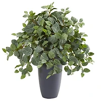 2.5ft. Fittonia in Gray Planter