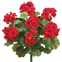 Red Water-Resistant Geranium Bush