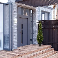 6ft. Pre-Lit Potted Cedar Tree