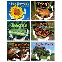 Pebble Plus Explore Life Cycles Set