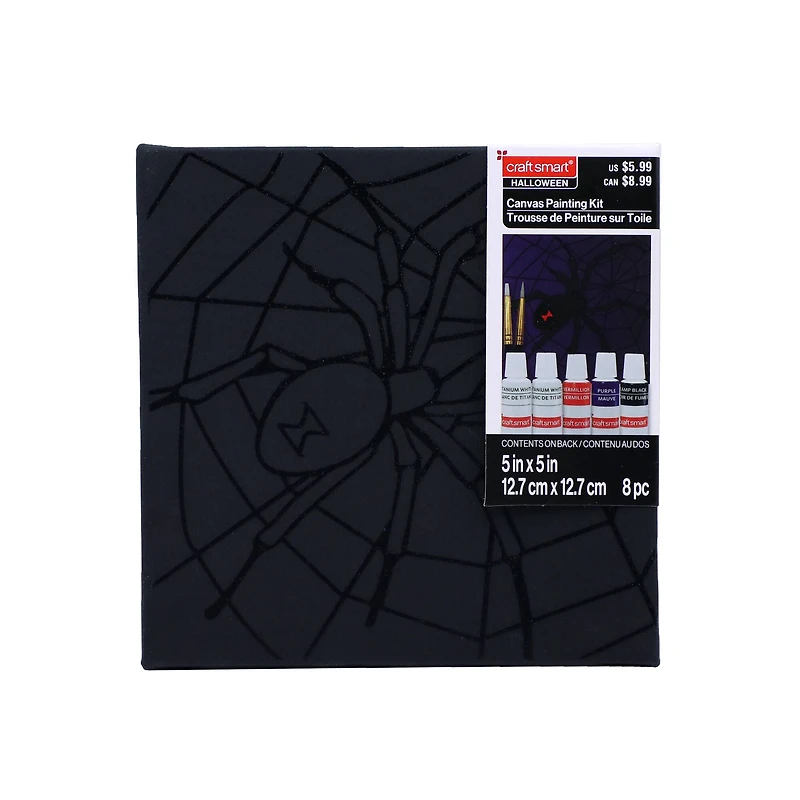 5" x 5" Spider in Web Canvas Painting Kit by Craft Smart®