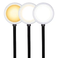 OttLite Wireless Charging LED Lamp with Organizer