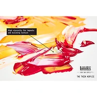 Liquitex® Professional 2oz. Heavy Body Acrylic Paint