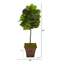 4.2ft. Fiddle Leaf Tree in Brown Planter