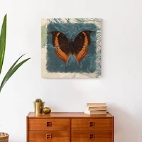 Swirls And Butterfly 20" x 20" Canvas Wall Art